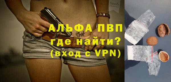 тгк Новодвинск