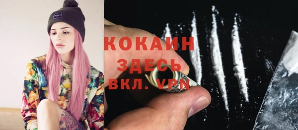 тгк Новодвинск