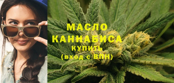 тгк Новодвинск