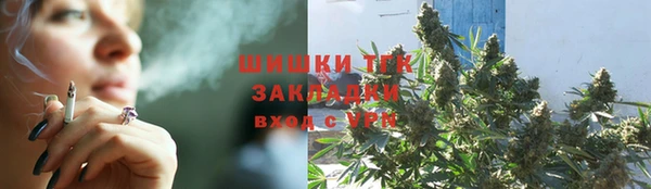 тгк Новодвинск