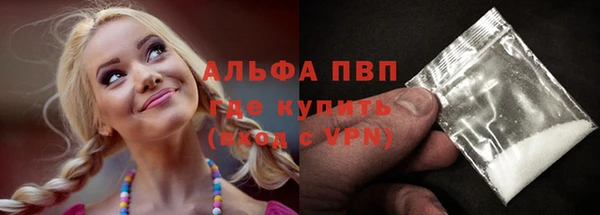 тгк Новодвинск