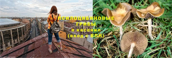 прущая мука Новокубанск