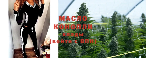 тгк Новодвинск