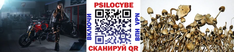наркота  Арсеньев  Галлюциногенные грибы GOLDEN TEACHER 