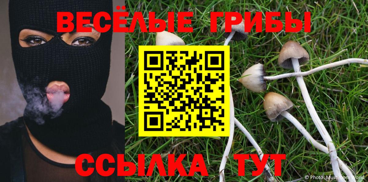 Галлюциногенные грибы ЛСД Арсеньев