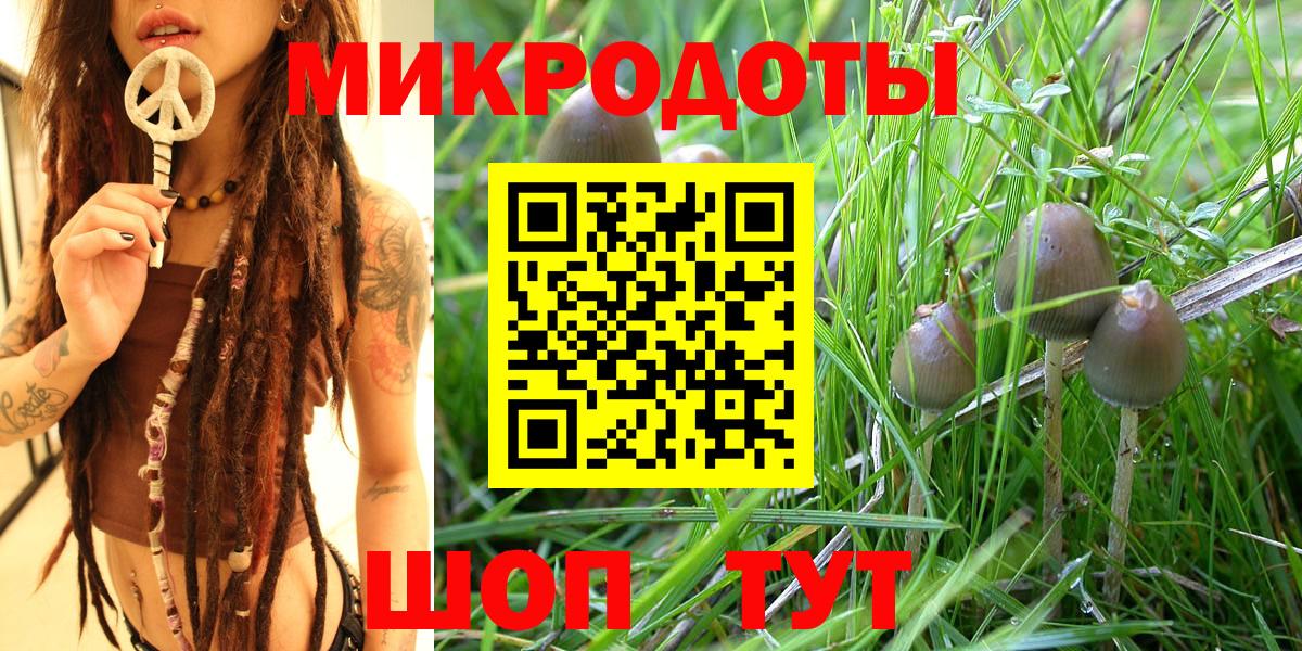 Галлюциногенные грибы Psilocybe  Псилоцибиновые грибы Cubensis  Вход с VPN  Арсеньев 